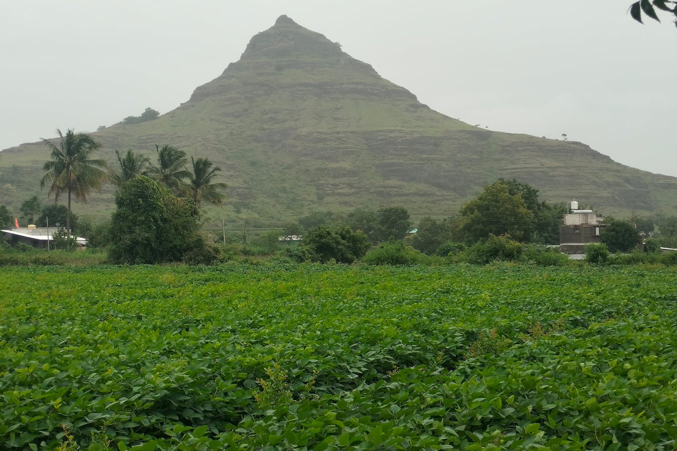 pexels-photo-33872281