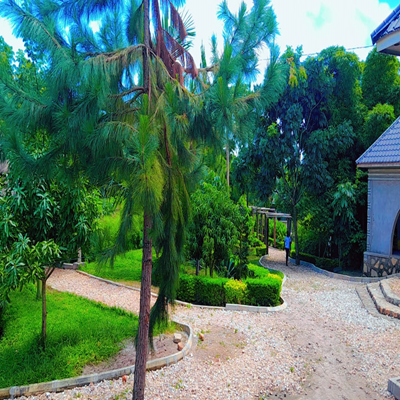 Palm Springs Eco-Tourism Site Hoima Welcome Palm Springs Eco-Tourism Site Hoima Welcome